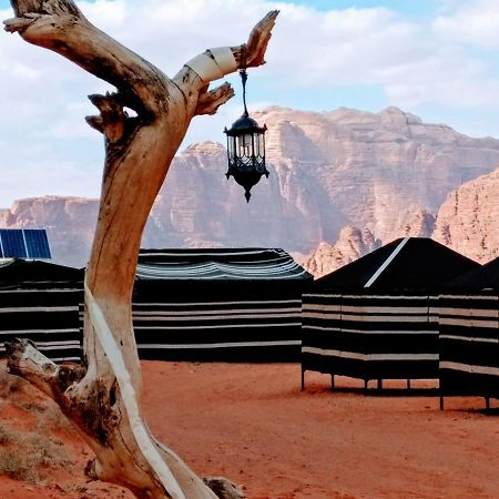 Desert Tree Camp&Tours Wadi Rum Exteriér fotografie