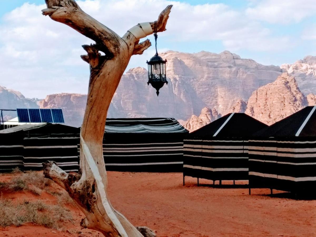 Desert Tree Camp&Tours Wadi Rum Exteriér fotografie
