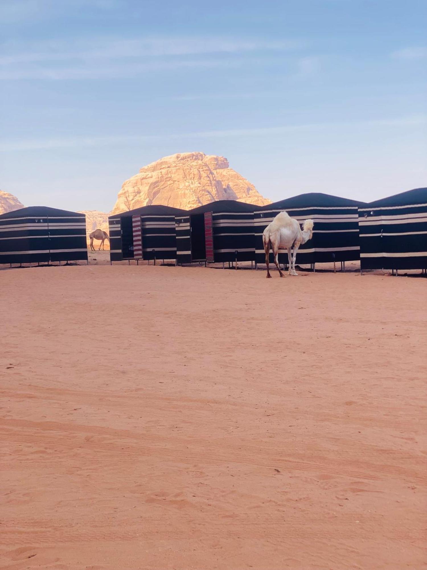 Desert Tree Camp&Tours Wadi Rum Exteriér fotografie